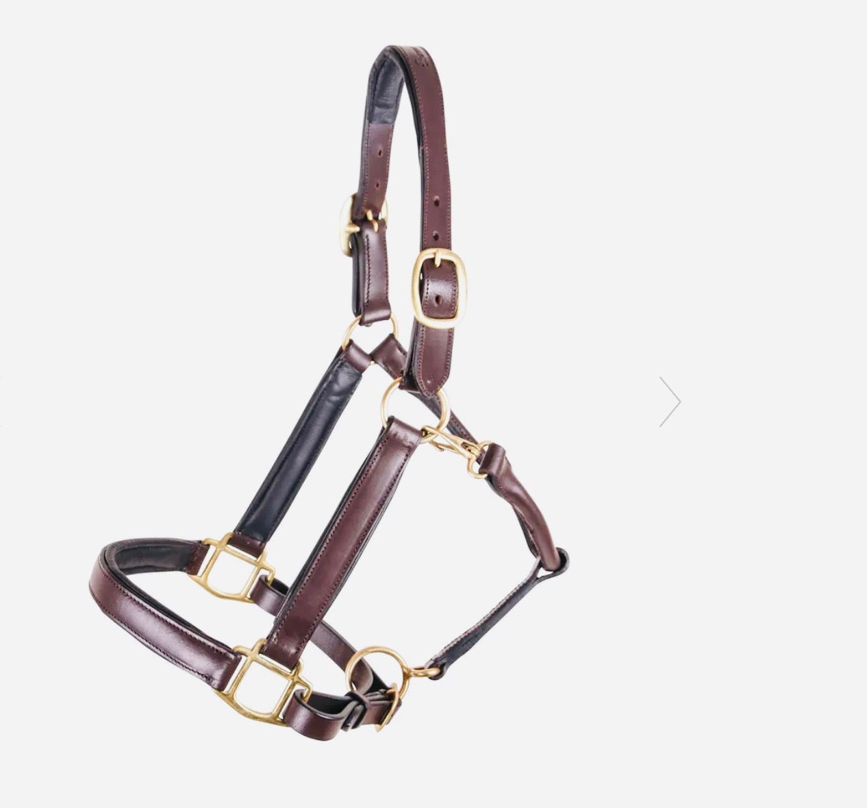 🐴 Premium Padded Leather Halter